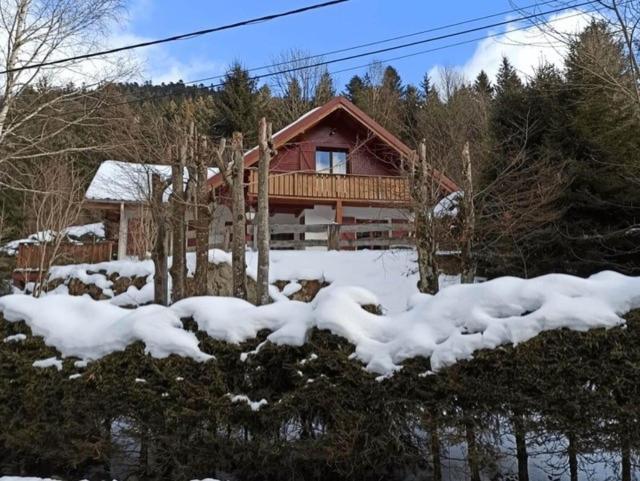 Les Cimes Blanches Cledicihome Chalet 10 Pers Spa & Grand Terrain 4 Minutes Des Pistes La Bresse Εξωτερικό φωτογραφία