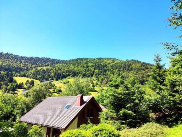 Les Cimes Blanches Cledicihome Chalet 10 Pers Spa & Grand Terrain 4 Minutes Des Pistes La Bresse Εξωτερικό φωτογραφία