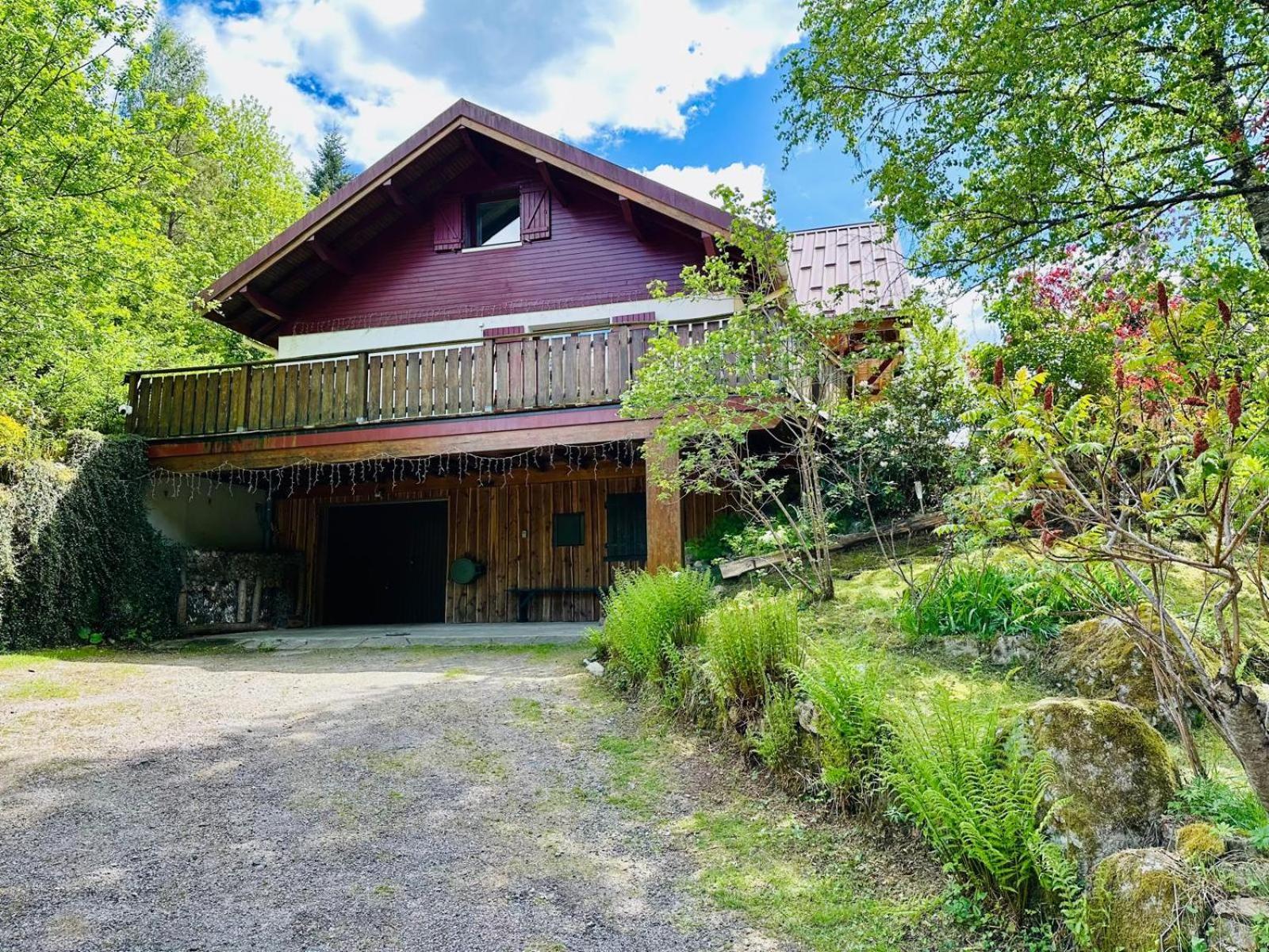 Les Cimes Blanches Cledicihome Chalet 10 Pers Spa & Grand Terrain 4 Minutes Des Pistes La Bresse Εξωτερικό φωτογραφία